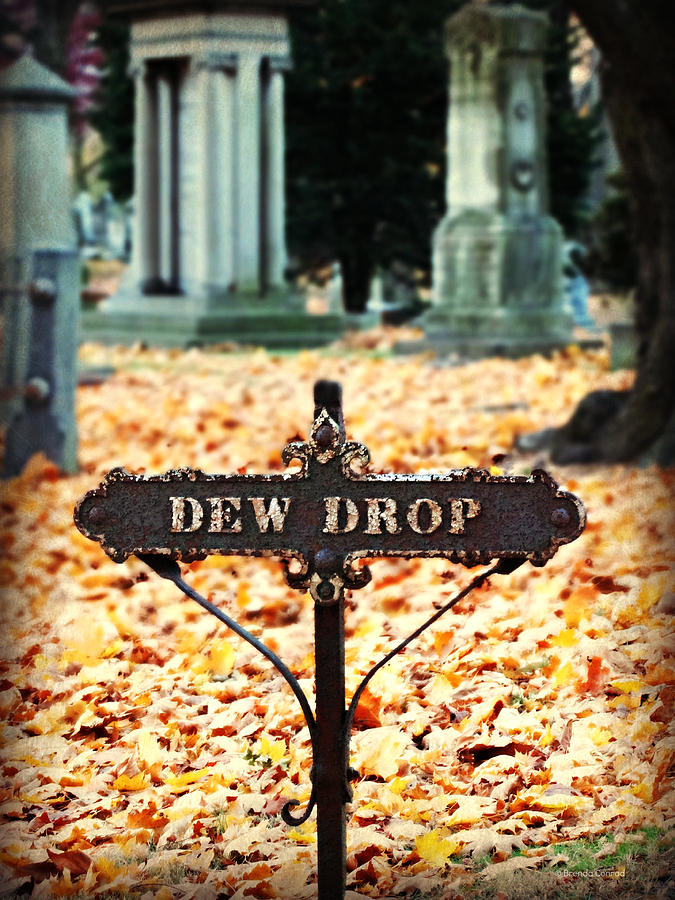 Sign Photograph - Dew Drop by Dark Whimsy