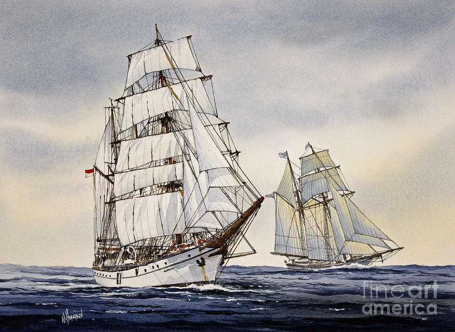 Sailing Vessel DEWARUCI Painting by James Williamson