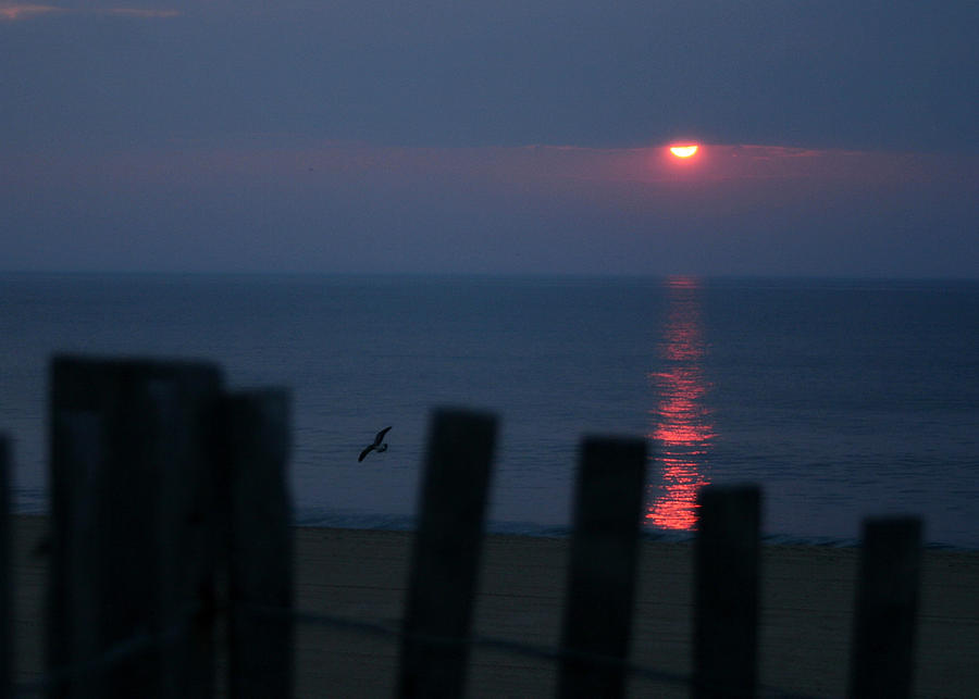 Nature Photograph - Dewey Sunrise by Lori Deiter