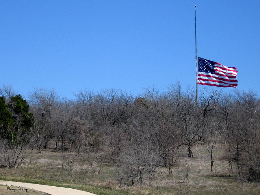 DFW national Cemetery flag on the Hill Photograph by Amy Hosp