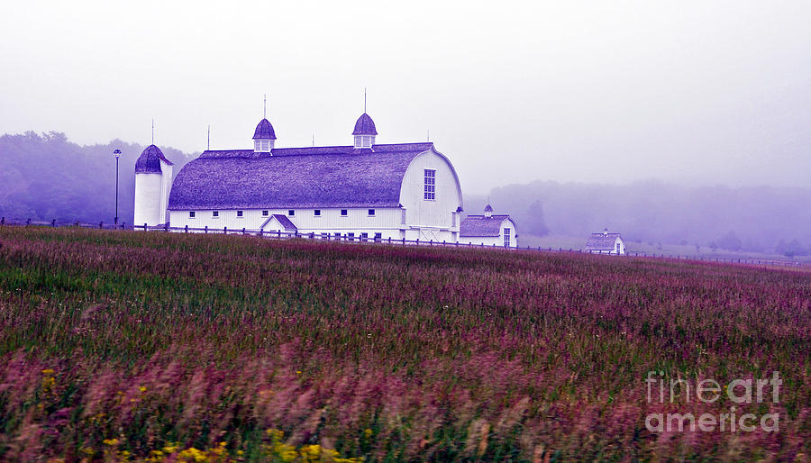 D.H. Day Barn Photograph by Lydia Holly - Fine Art America