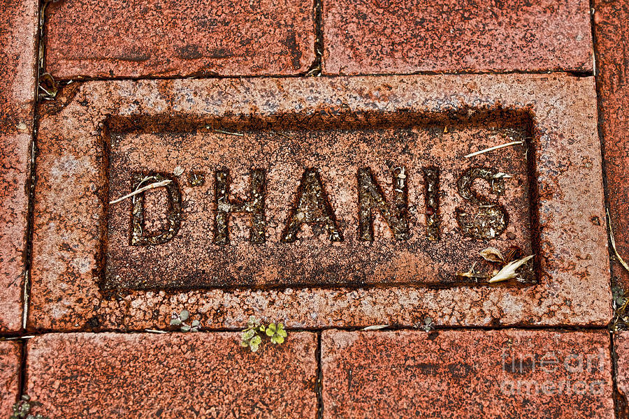 DHanis Brick Paver Photograph by Gary Holmes