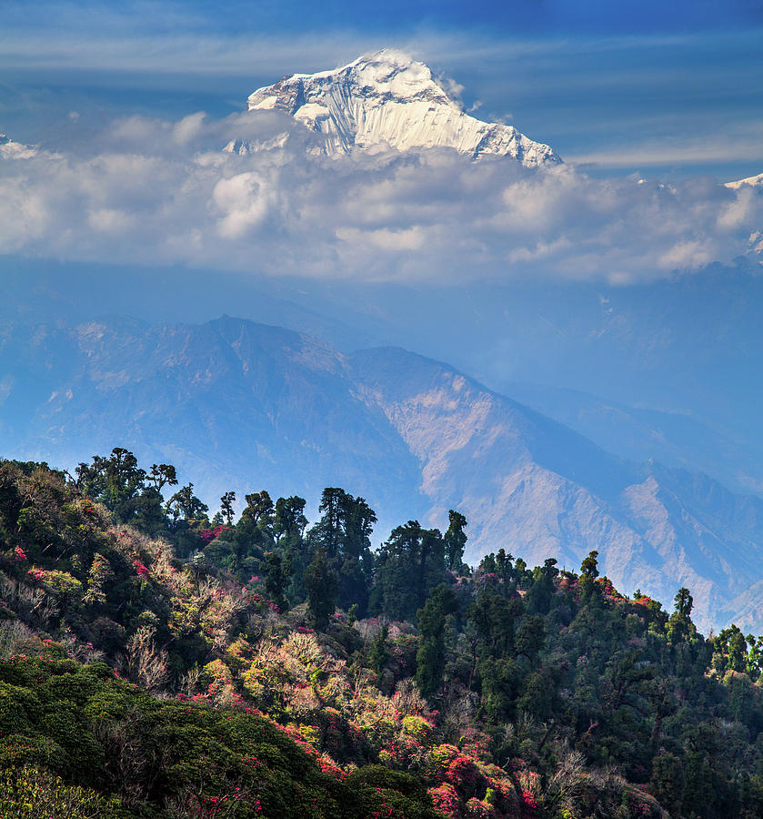 Dhaulagiri, Ghorepani, Annapurna, Nepal Photograph by Feng Wei Photography