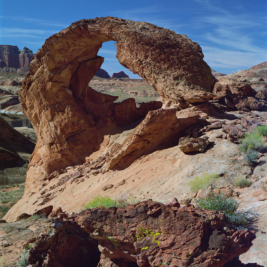 Diagenetic Arch-SQ Photograph by Tom Daniel