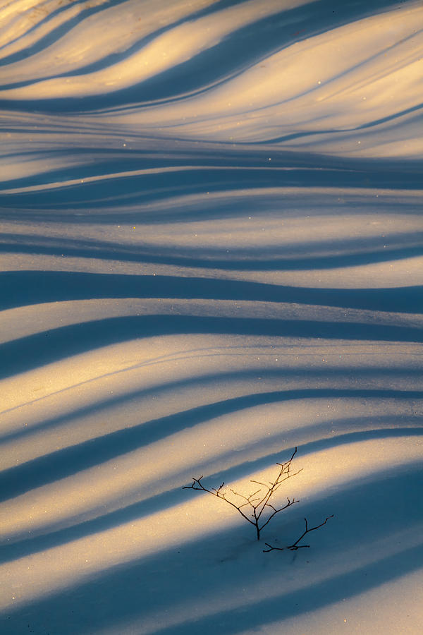 Winter Photograph - Diagonal Lines by Rob Travis