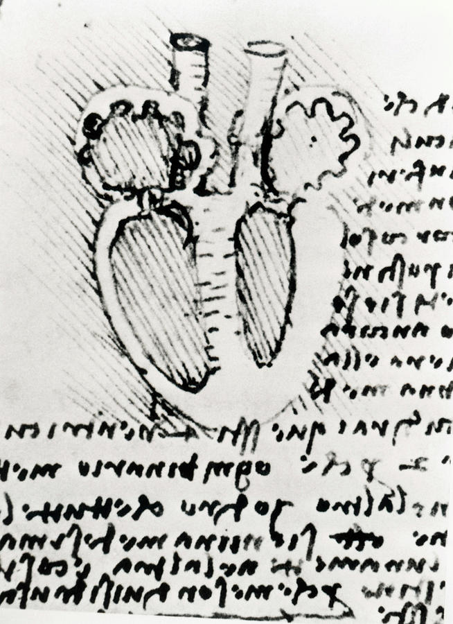 Diagram Of A Dissected Heart By Leonardo Da Vinci Photograph by Science Photo Library Diagram Of A Dissected Heart By Leonardo Da Vinci Photograph by Science Photo Library