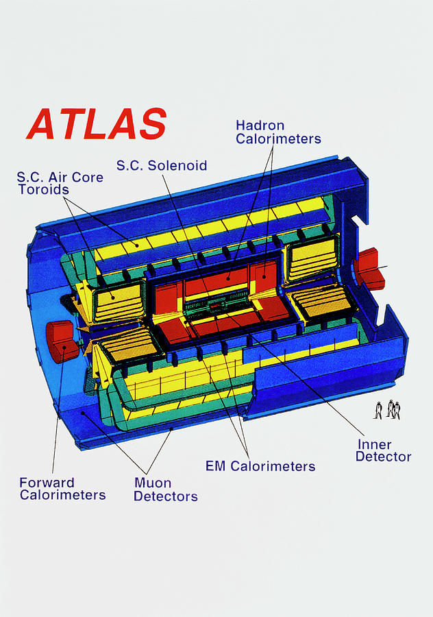 Diagram Of Atlas Detector For Lhc At Cern Photograph by Cern/science Photo Library