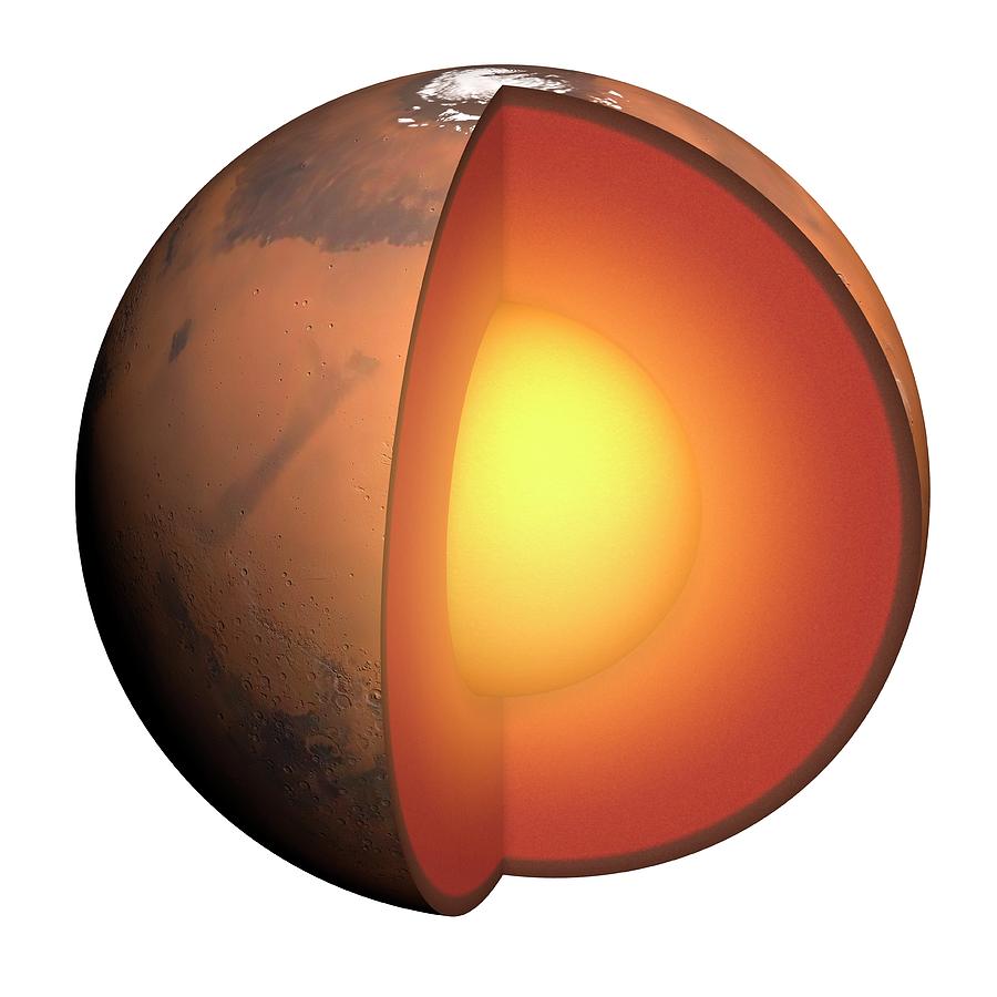 Planet Photograph - Diagram Showing Interior Of Mars by Mark Garlick/science Photo Library