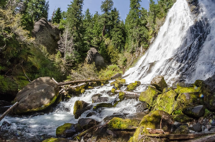 Diamond Creek Falls Photograph by Margaret Pitcher