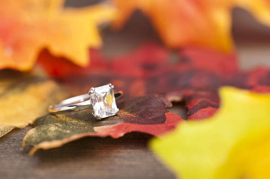 Fall Photograph - Diamond Engagement ring by U Schade