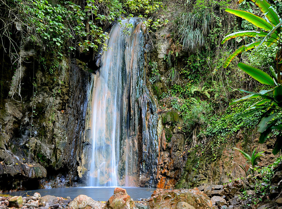 Diamond Falls - Saint Lucia Photograph by Brendan Reals