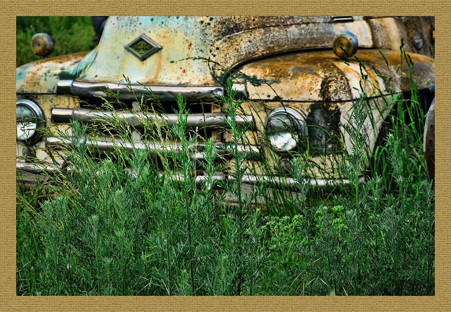 Truck Photograph - Diamond in the weeds by Ron Roberts