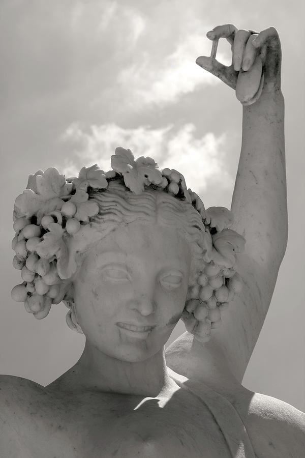 Diana Statue Photograph by Creative Solutions RipdNTorn