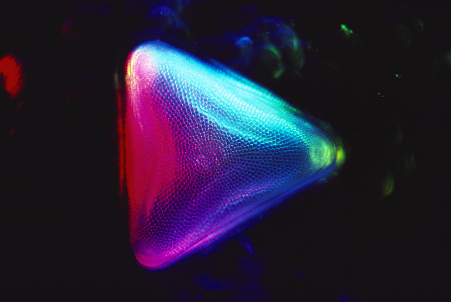 Diatom - Triceratium Photograph by Michael Abbey