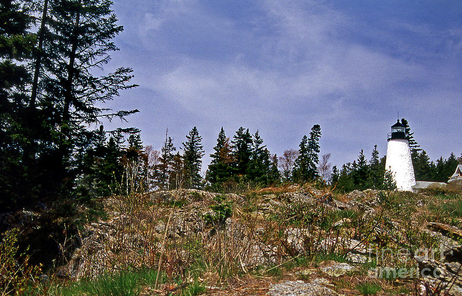 Dice Head Lighthouse Photograph by Skip Willits