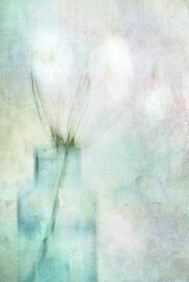 Abstract Photograph - Different by Annie Snel Abstract Photograph - Different by Annie Snel