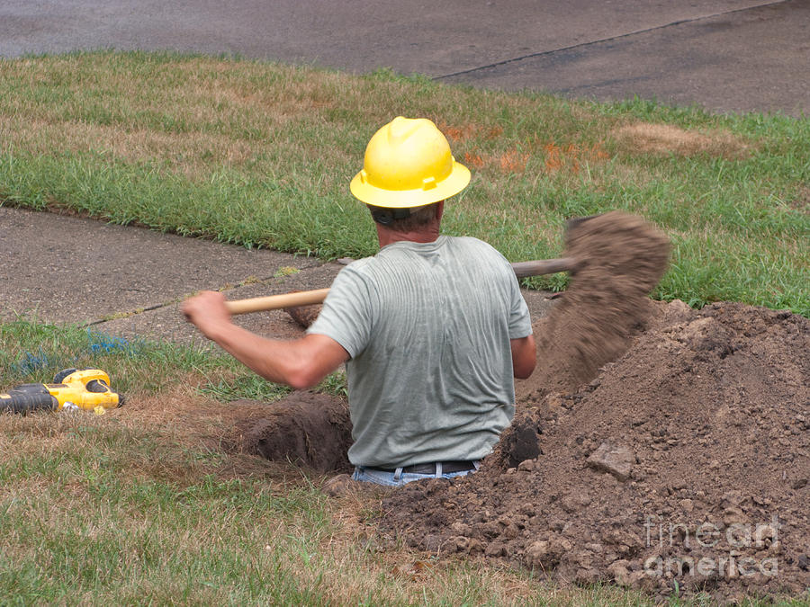 Digging In Photograph