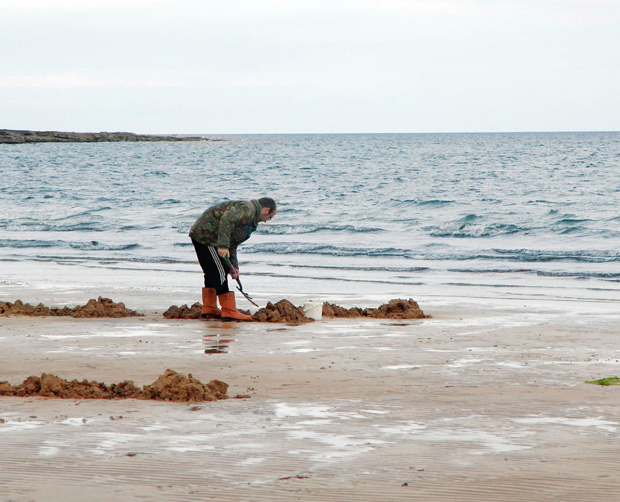 Digging On A Beach Photograph by Science Photo Library