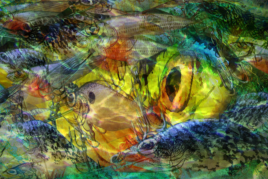 Fish Photograph - Digital abstract composition of fishing crankbaits by Randall Nyhof