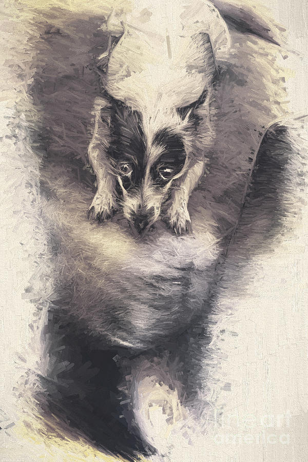 Digital artwork of a mini fox terrier dog Photograph by Jorgo Photography