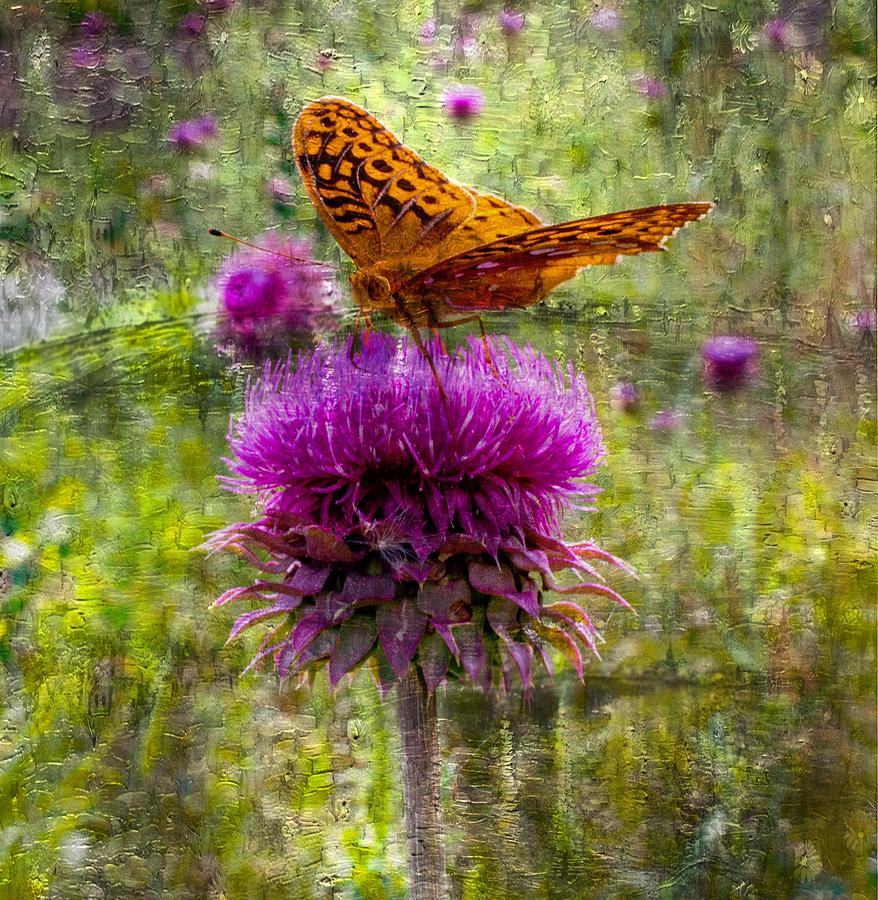 Digital Butterfly Painting Photograph by Jens Larsen
