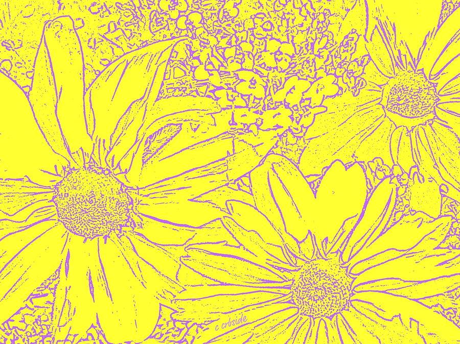 Digital Cone Flowers Drawing Photograph by Chris Berry