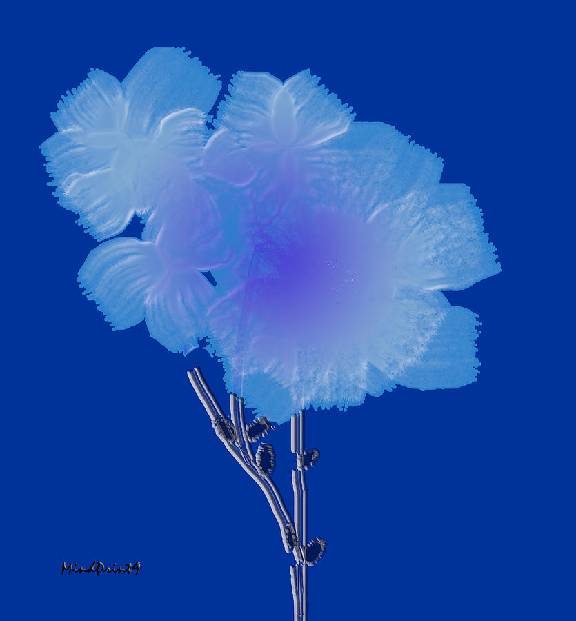 Digital Flowers Digital Art by Asok Mukhopadhyay