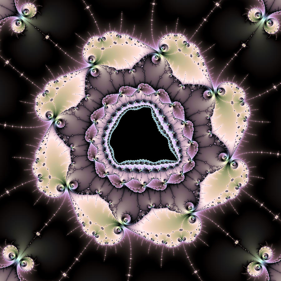 Digital fractal art - purple gray brown black Digital Art by Matthias Hauser