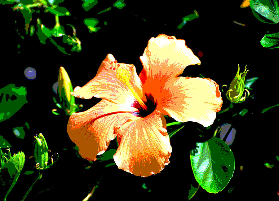 Digital Orange Blossom Special Photograph by Linda Cox