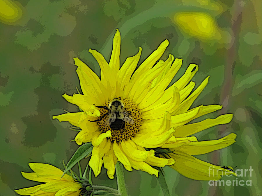 Flower Photograph - Digital Painting Bee on Flower by Minding My  Visions by Adri and Ray