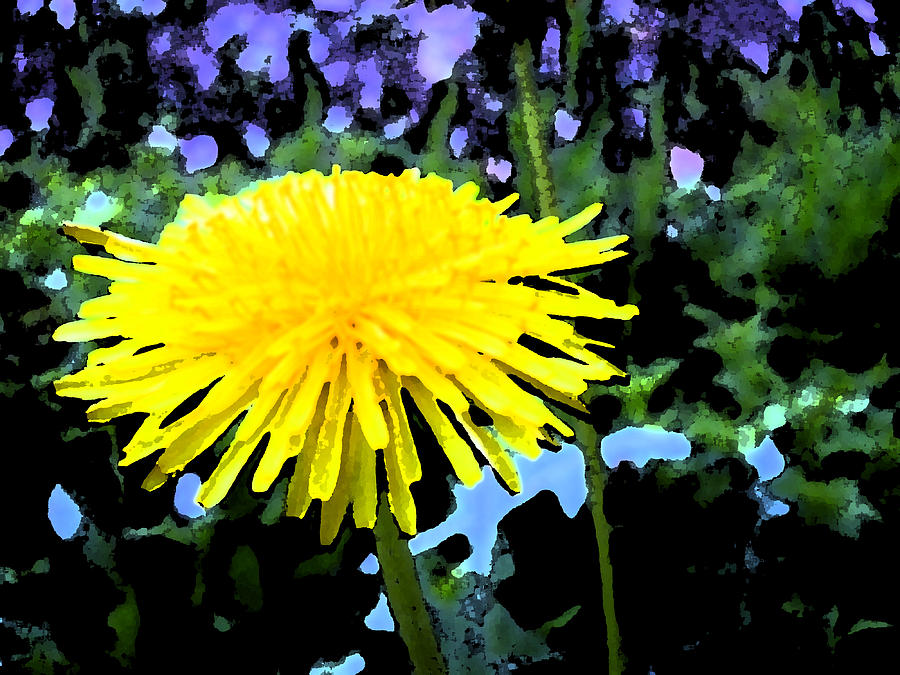 Digital Painting Of Yellow Flower Digital Art by Eric Forster