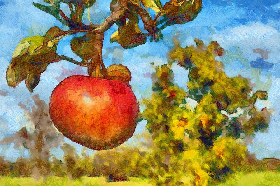 Digital painting - Red apple on branch of tree Photograph by Matthias Hauser