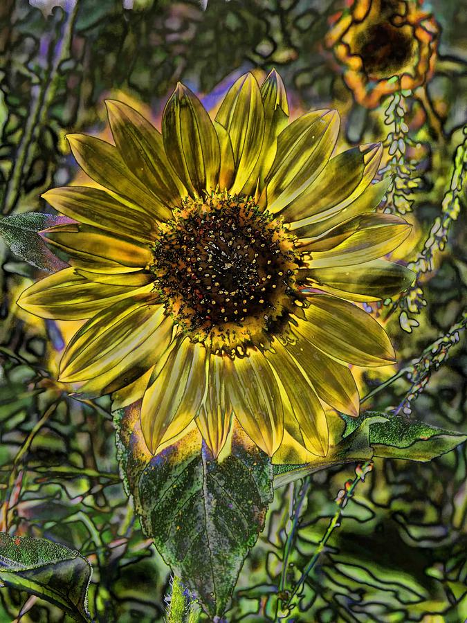 Digital Painting Series Sunflower Brilliant Digital Art by Cathy Anderson