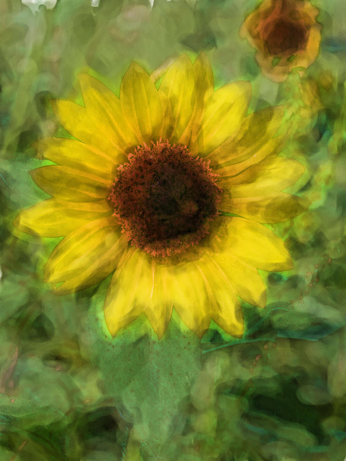 Digital Painting Series Sunflower Digital Art by Cathy Anderson