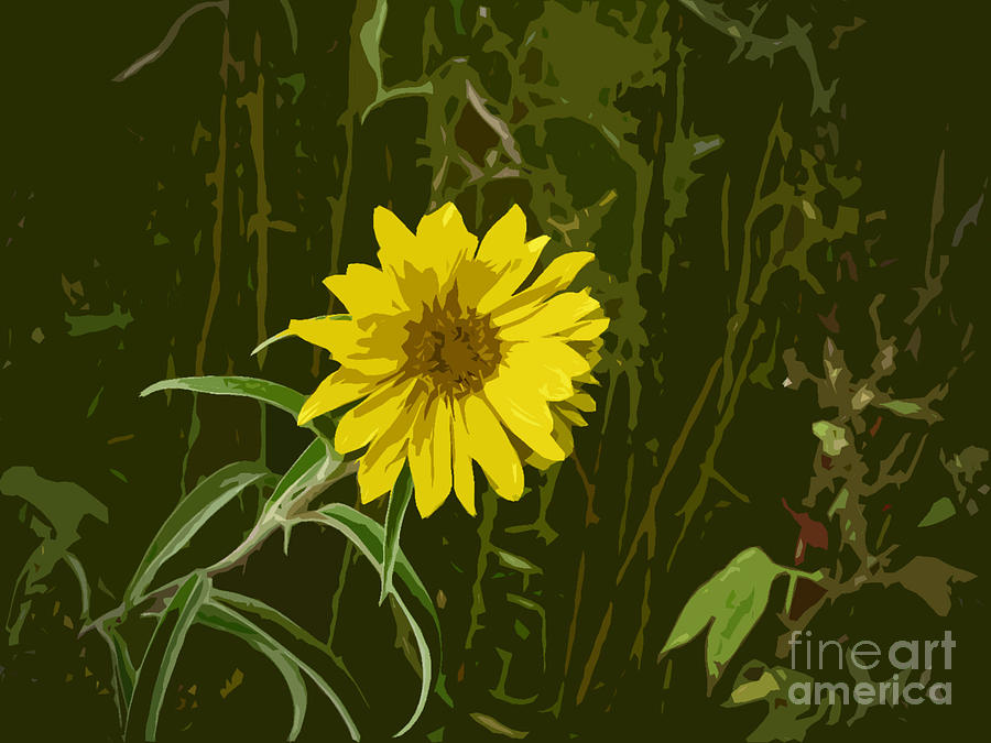 Digital Painting Yellow Flower Photograph