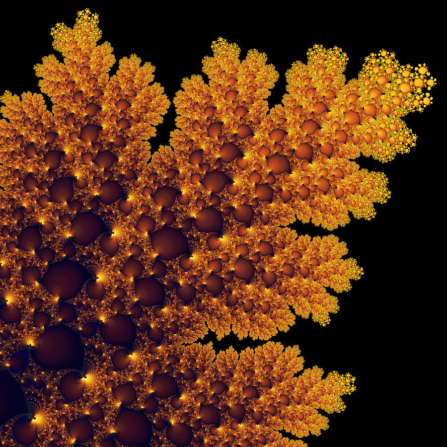 Digital Warm Golden Fractal Leaf Black Background Digital Art