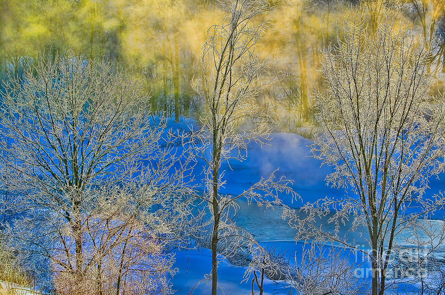 Digitally altered image of frost covered trees. Photograph by Don Landwehrle