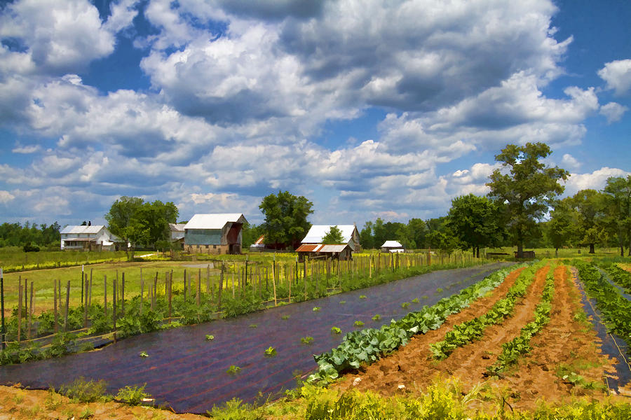 Digitally Painted Amish Farm Photograph by Kathy Clark