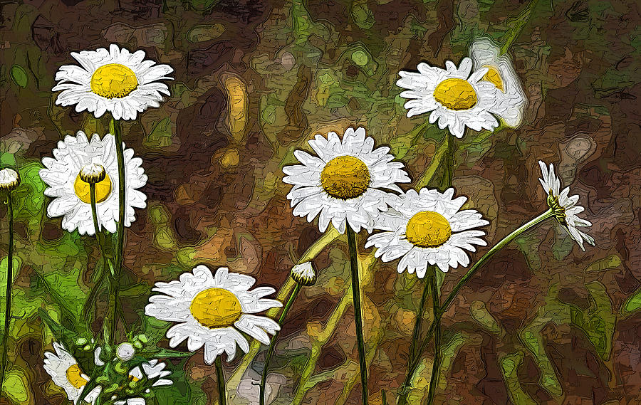 Digitally Painted Daisies Photograph by Kathy Clark