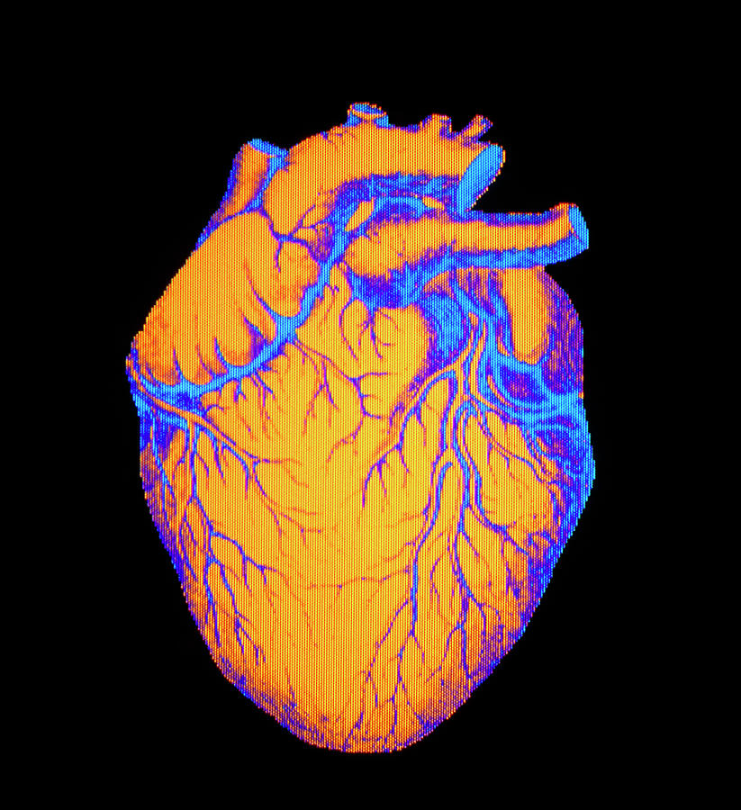 Digitised Illustration Of A Healthy Human Heart Photograph by Mehau ...