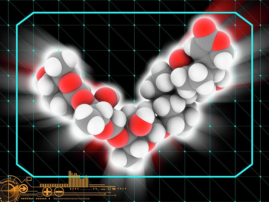 Chemical Photograph - Digoxin Heart Drug Molecule by Laguna Design/science Photo Library