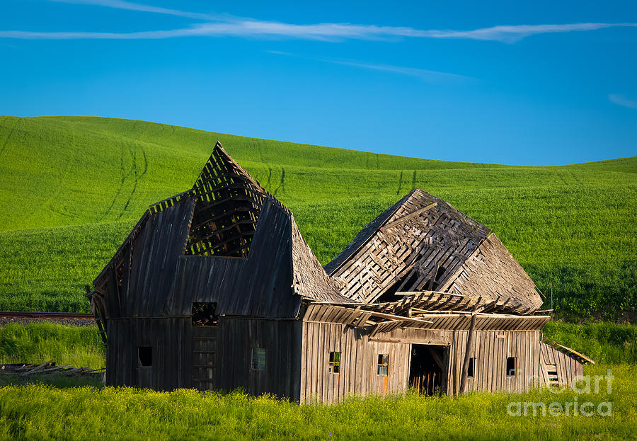 Dilapidated Barn Photograph by Inge Johnsson