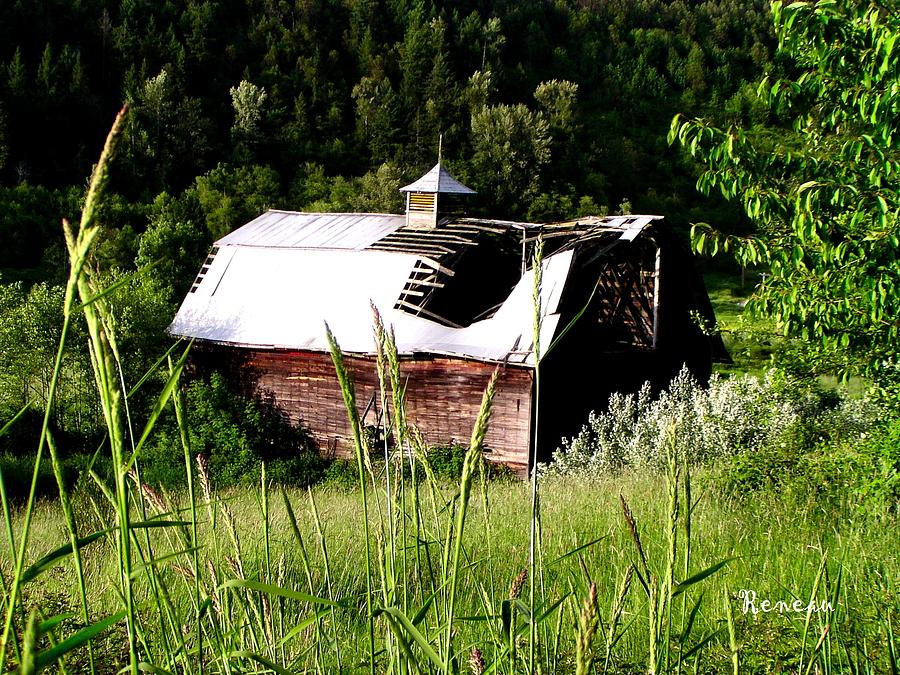 Dilapidated Barn Photograph by A L Sadie Reneau