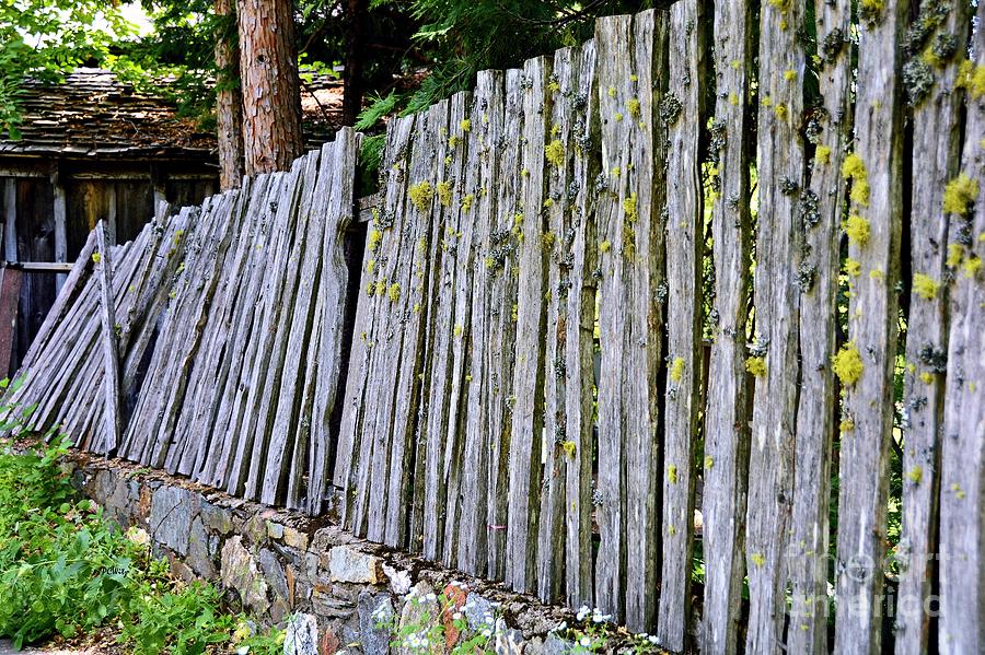 Dilapidated Fence Photograph by Patrick Witz