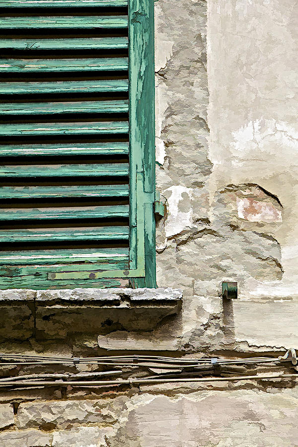 Dilapidated Green Wood Window Shutter Photograph by David Letts