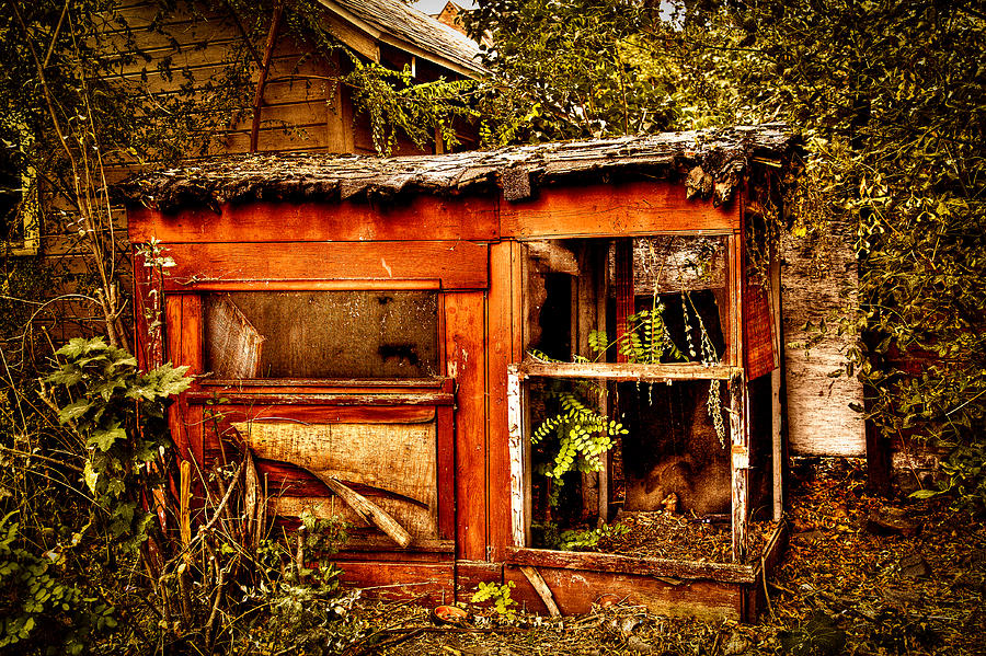 Dilapidated Playhouse - Memories Intact Photograph by David Patterson