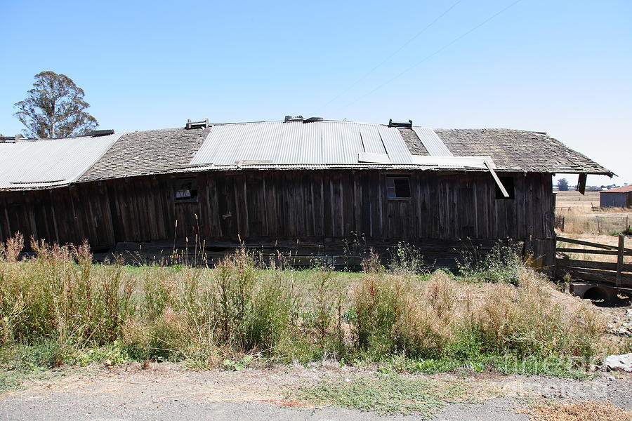 Dilapidated Ranch in Petaluma California 5D24411 Photograph by Wingsdomain Art and Photography