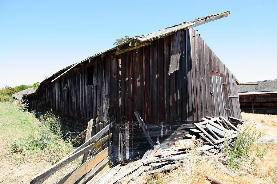Dilapidated Ranch in Petaluma California 5D24415 Photograph by Wingsdomain Art and Photography