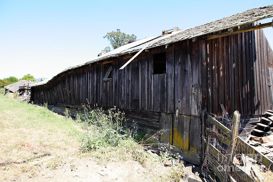 Dilapidated Ranch in Petaluma California 5D24416 Photograph by Wingsdomain Art and Photography