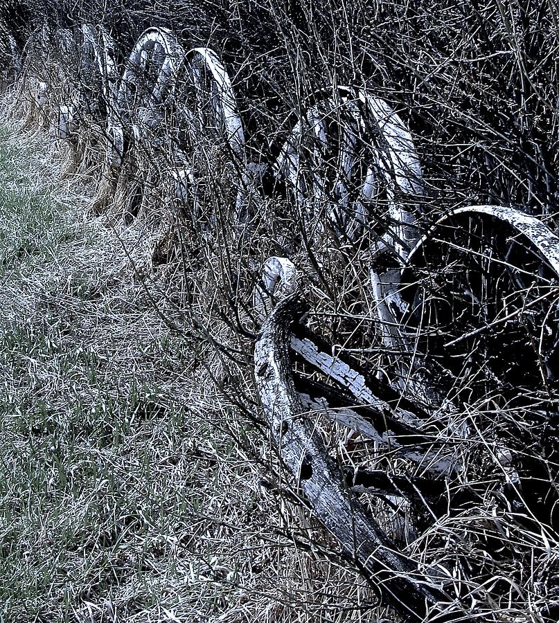 Dilapidated Wagon Wheel Fence Photograph by Brian Sereda